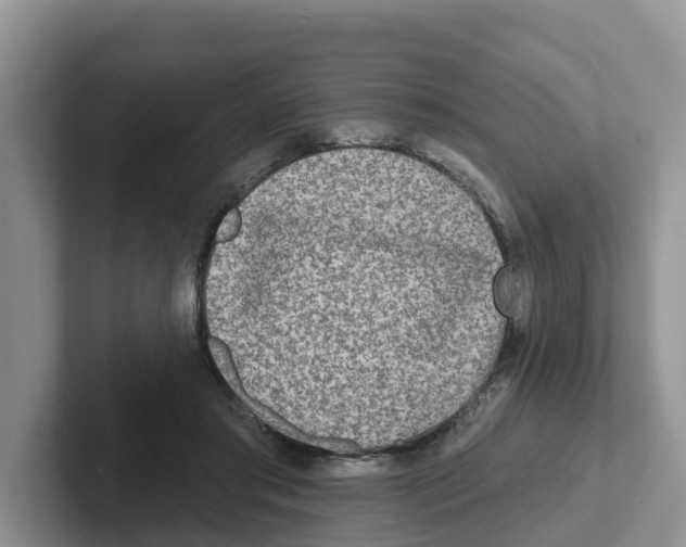 X0000101700405200807311436