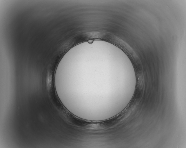 X0000101700406200807311436