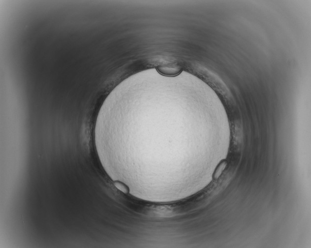 X0000101700409200807311436