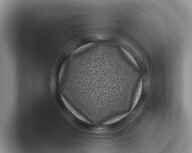 X0000101700410200807311436