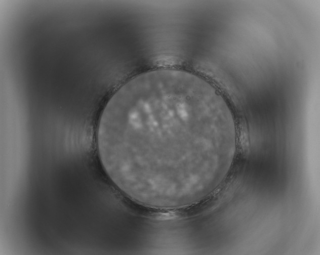X0000101700411200807311436