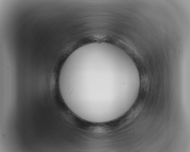 X0000101700412200807311436