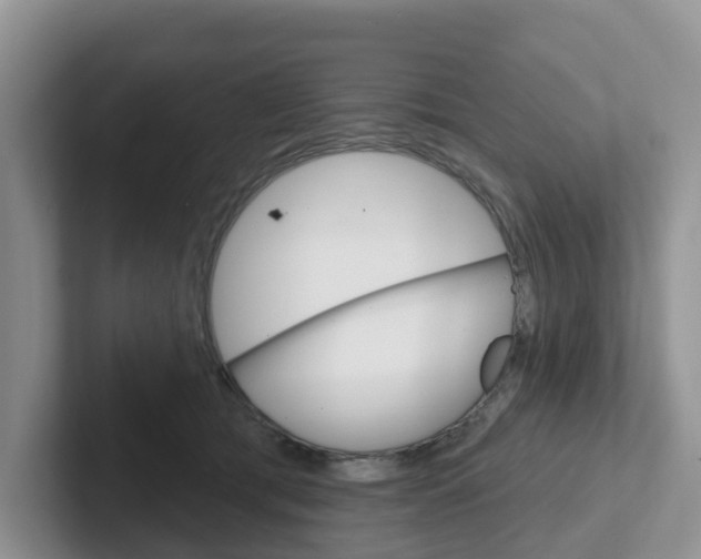 X0000101700417200807311436