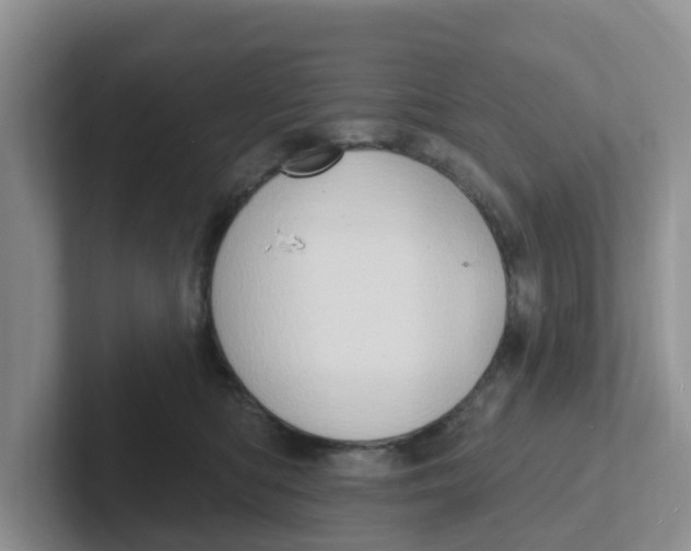 X0000101700422200807311436
