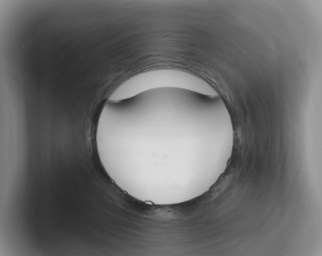 X0000101700423200807311435