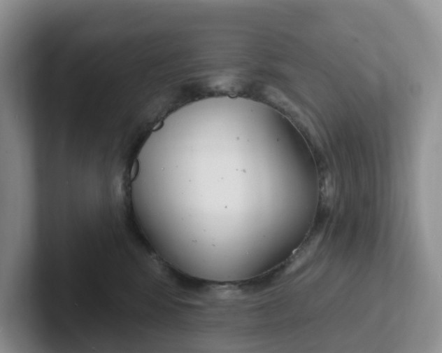 X0000101700424200807311435