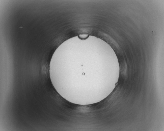 X0000101700425200807311435