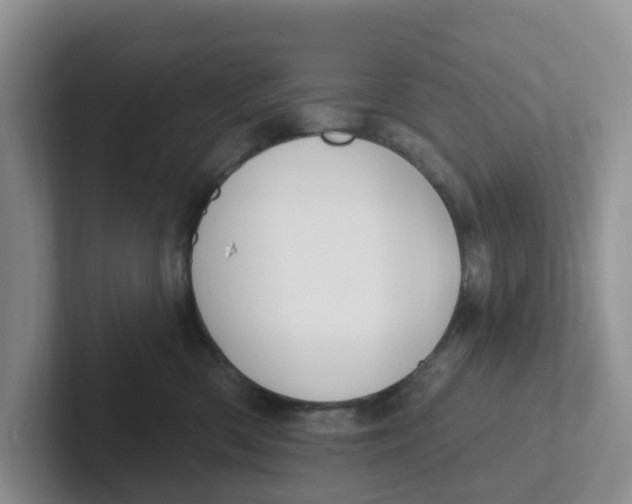 X0000101700426200807311435
