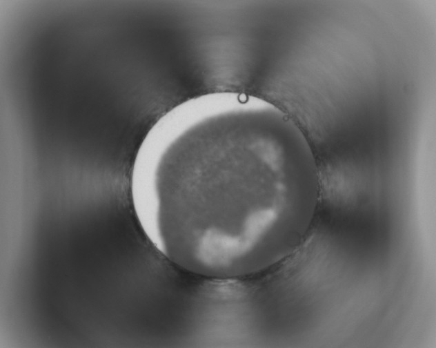 X0000101700427200807311435