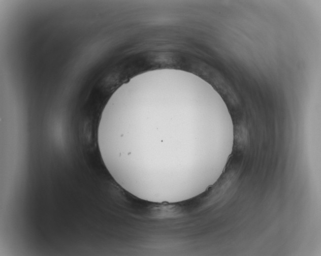 X0000101700428200807311435