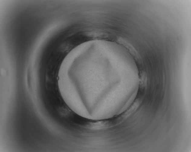 X0000101700430200807311435