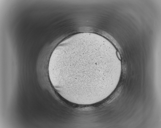 X0000101700433200807311435