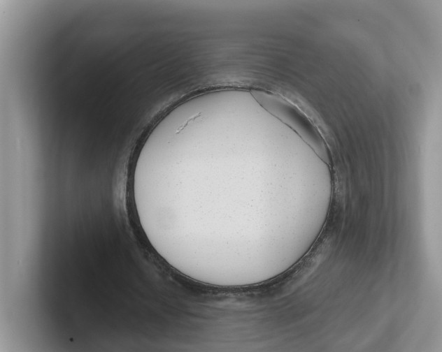 X0000101700434200807311435