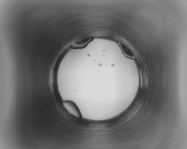 X0000101700435200807311435