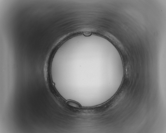 X0000101700436200807311435