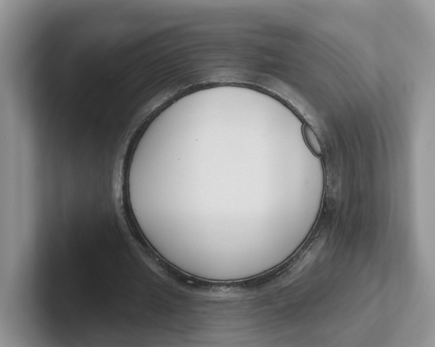 X0000101700437200807311435
