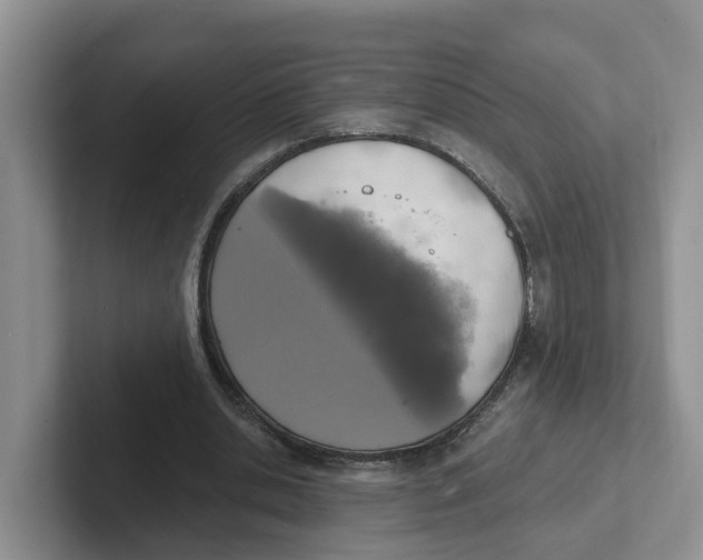 X0000101700438200807311435