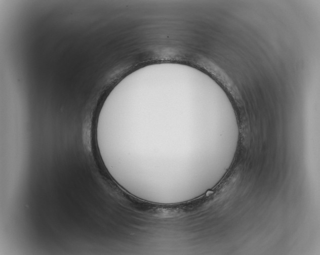 X0000101700442200807311435