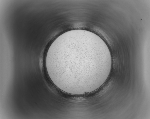 X0000101700443200807311435