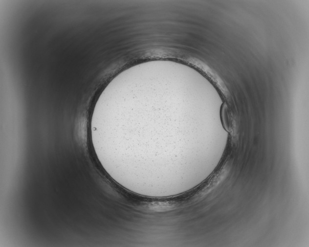 X0000101700445200807311435