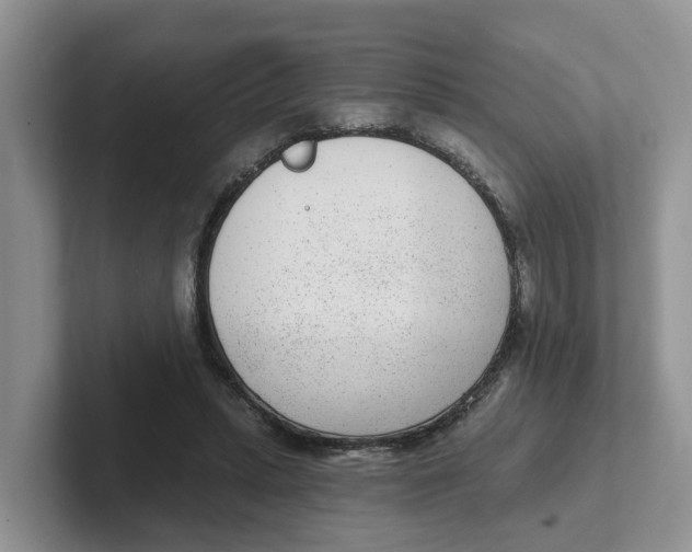 X0000101700447200807311435