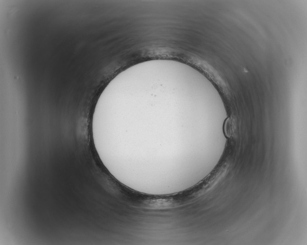 X0000101700449200807311435