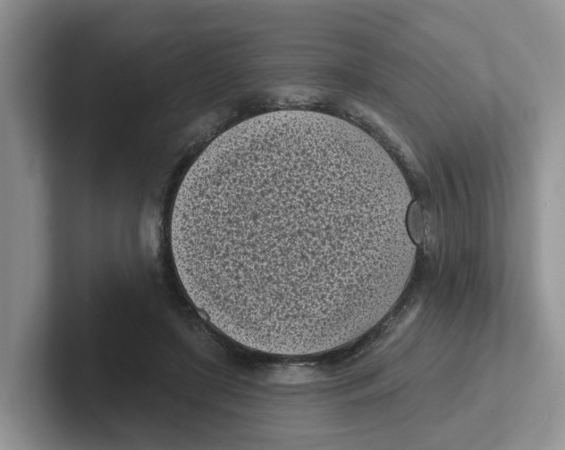 X0000101700451200807311435