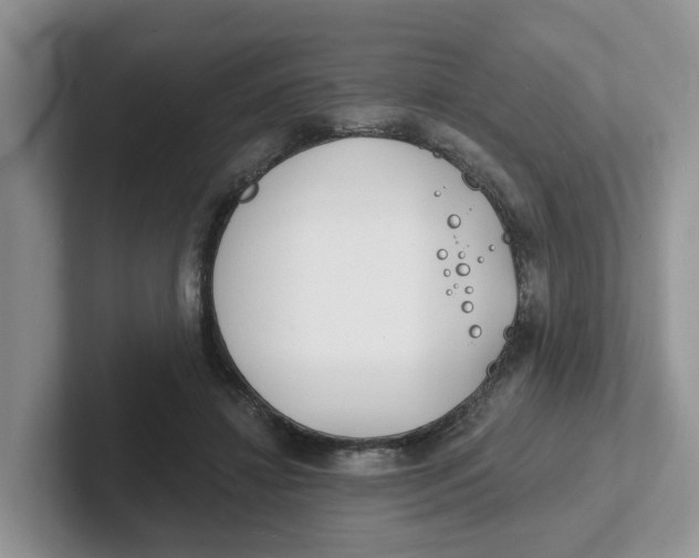 X0000101700452200807311435