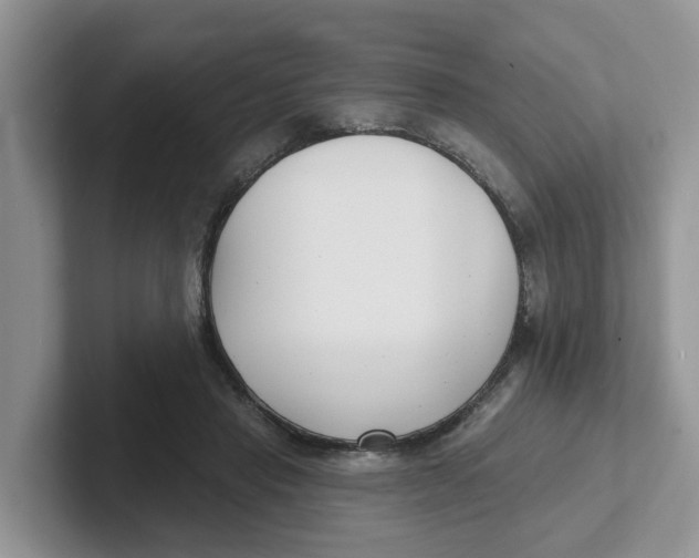 X0000101700453200807311435