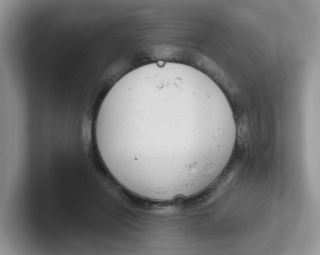 X0000101700454200807311435