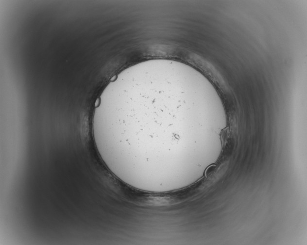 X0000101700457200807311435