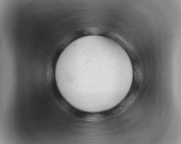 X0000101700459200807311435