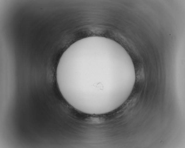 X0000101700464200807311435