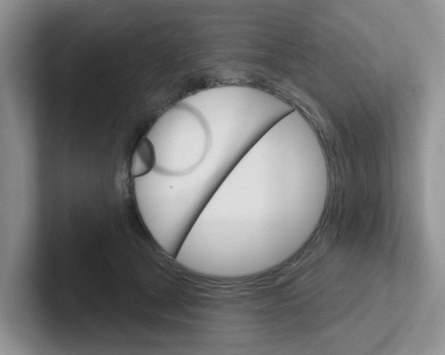 X0000101700465200807311435