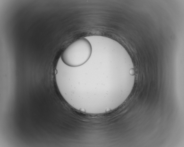 X0000101700466200807311435