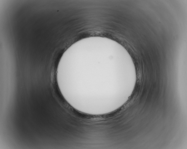 X0000101700468200807311435