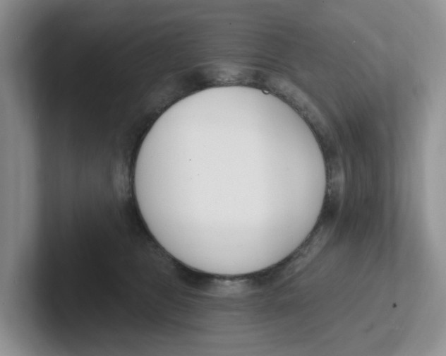 X0000101700469200807311435