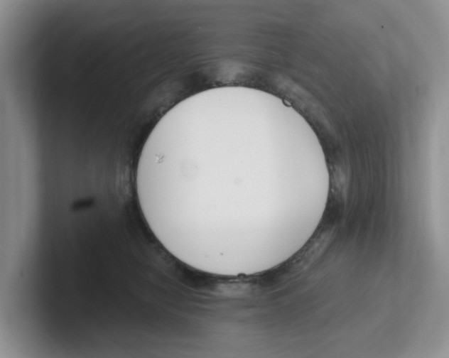 X0000101700470200807311435