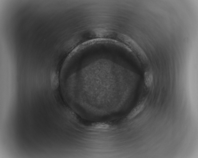 X0000101700471200807311435