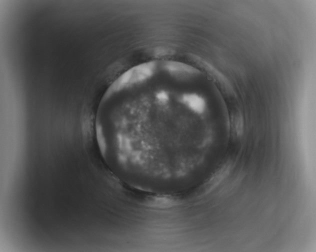 X0000101700475200807311435