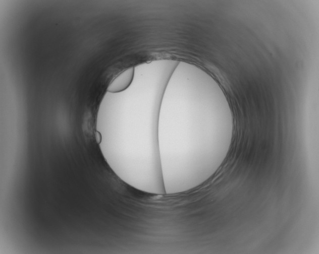 X0000101700477200807311435