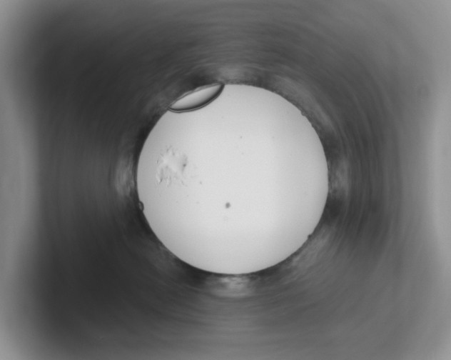 X0000101700478200807311435
