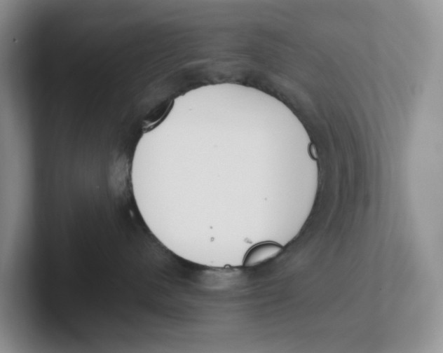 X0000101700480200807311435