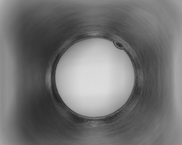 X0000101700482200807311435