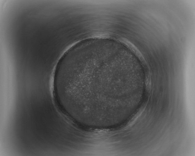 X0000101700484200807311435
