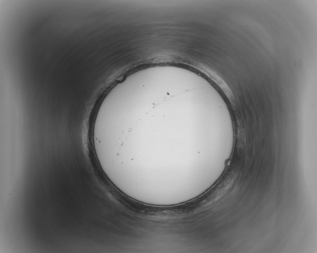 X0000101700485200807311435