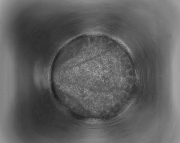 X0000101700487200807311435