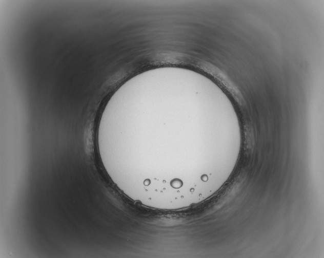 X0000101700489200807311435