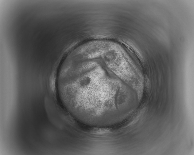 X0000101700491200807311435