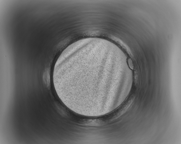 X0000101700493200807311435